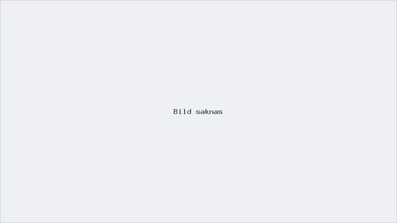2-pack omlottbodys i pointelle
